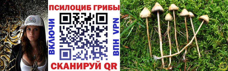 Галлюциногенные грибы Cubensis Ростов-на-Дону