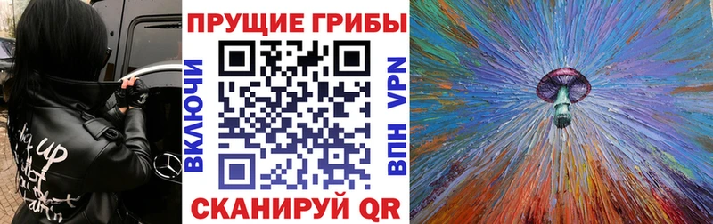 купить закладку  Ростов-на-Дону  Псилоцибиновые грибы ЛСД 