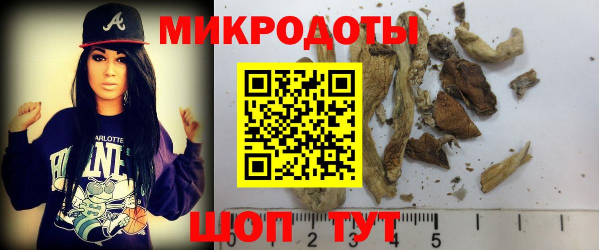 Галлюциногенные грибы мухоморы Ростов-на-Дону